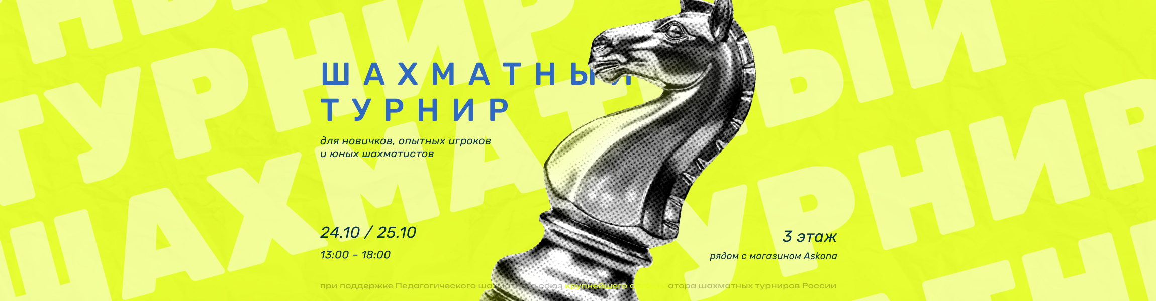 Шахматный турнир 24-25 октября