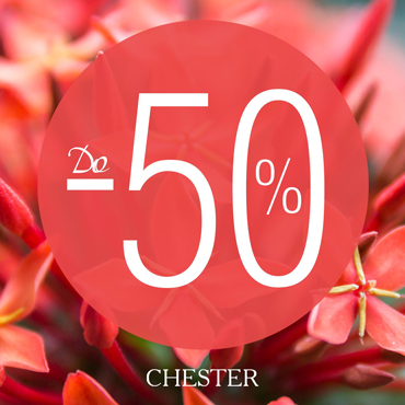 Самый цвет лета: в CHESTER скидки до 50% Самый цвет лета: в CHESTER скидки до 50%